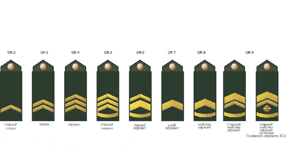 Воинские звания украины погоны в картинках
