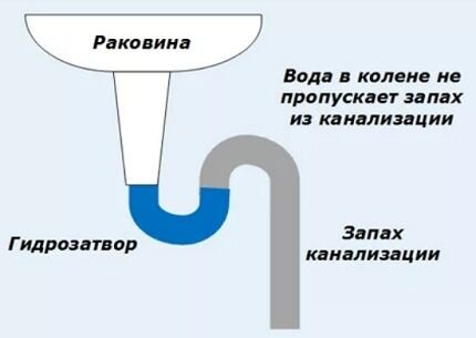 Резиновой манжеты соединяются сифон и стояк канализации гофрированную трубу сифона