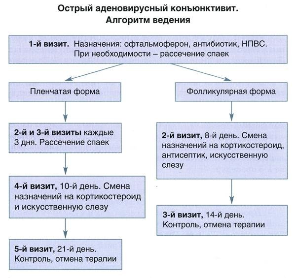 Схема лечения конъюнктивита у взрослых