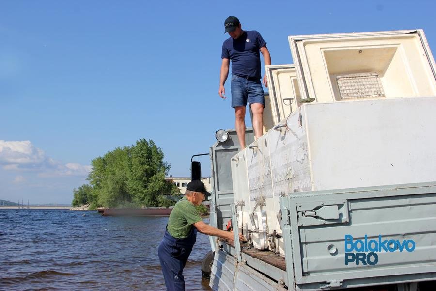 Проект живу на волге умею плавать саратов