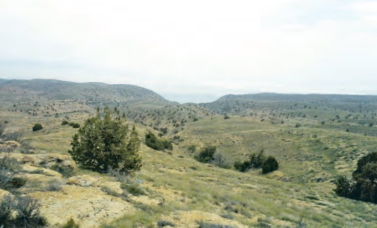 малый балхан туркменистана. балхам с жир медвежий медом. гора арлан в туркмении. большой балхан западный туркменистан. балхан лекарство.