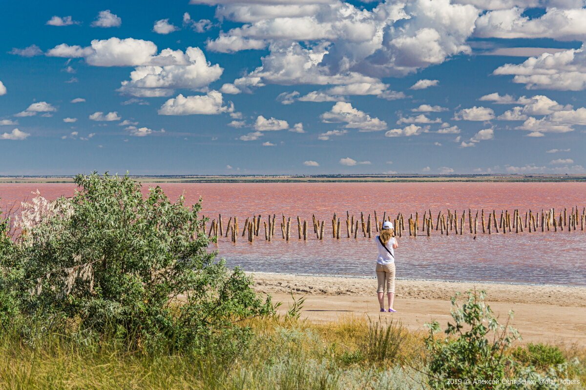 Розовое озеро под евпаторией