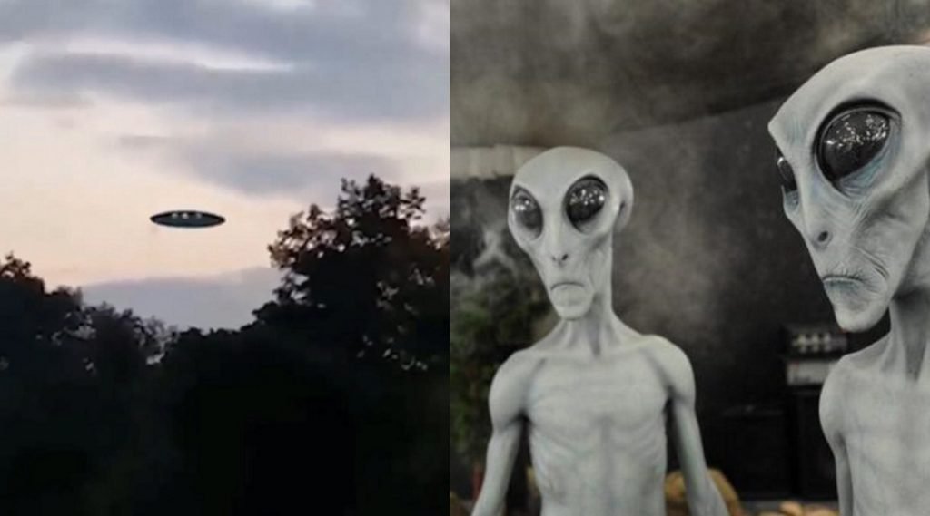 Как выглядит инопланетянин в реальной жизни фото