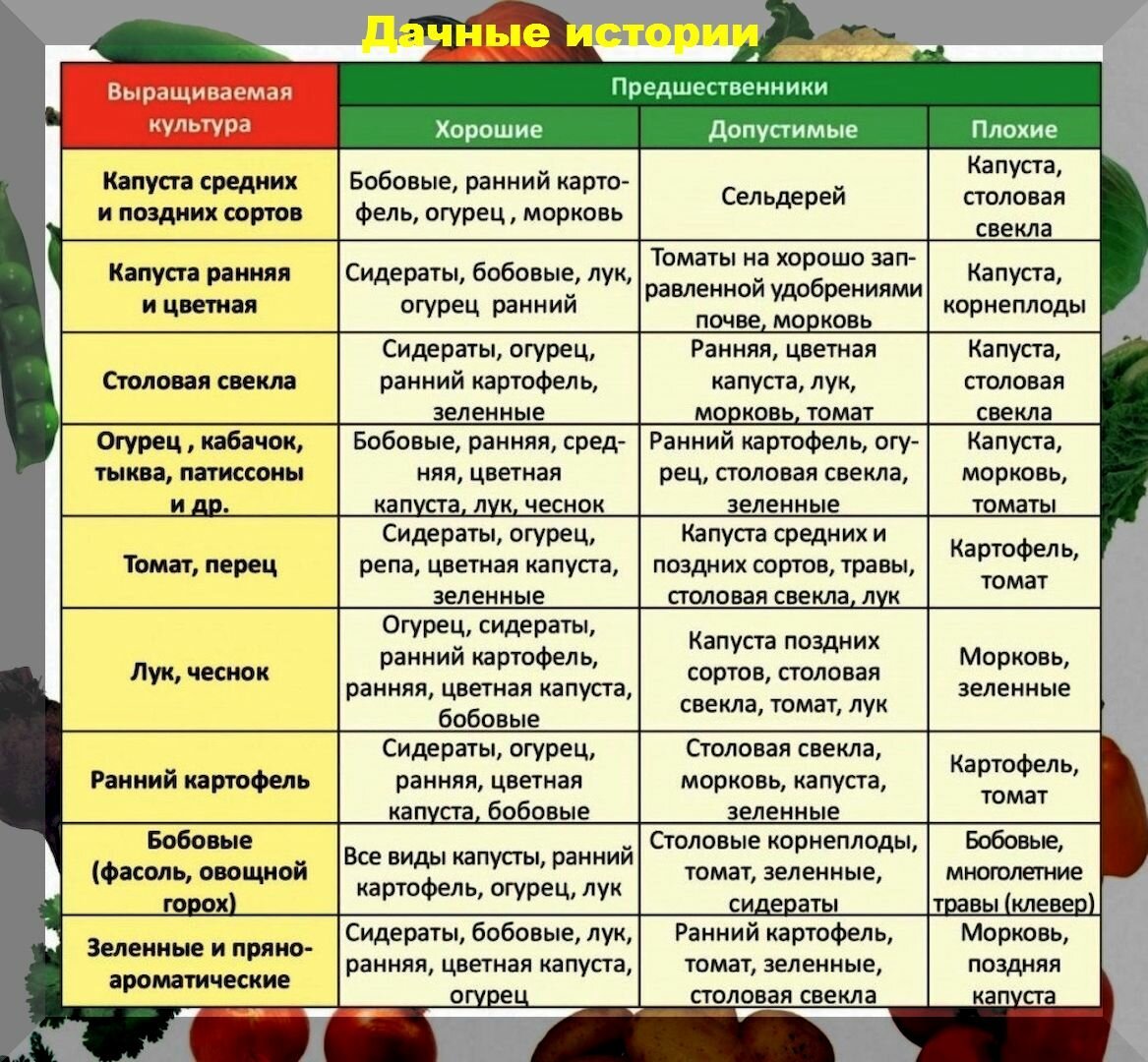 Какие растения сажают после каких растений