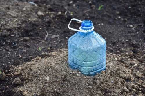 Для чего в теплице ставят бутылки с водой