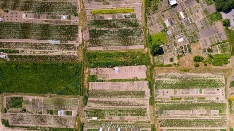 Спутник гродно карта в реальном времени