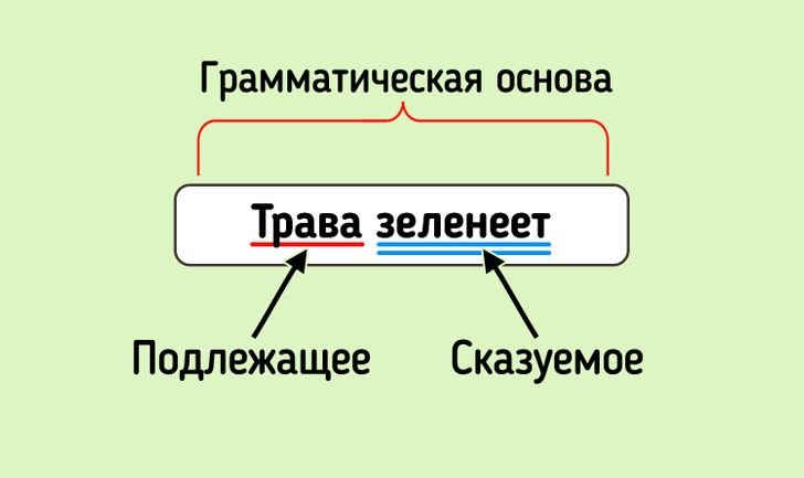 Сколько грамматических основ