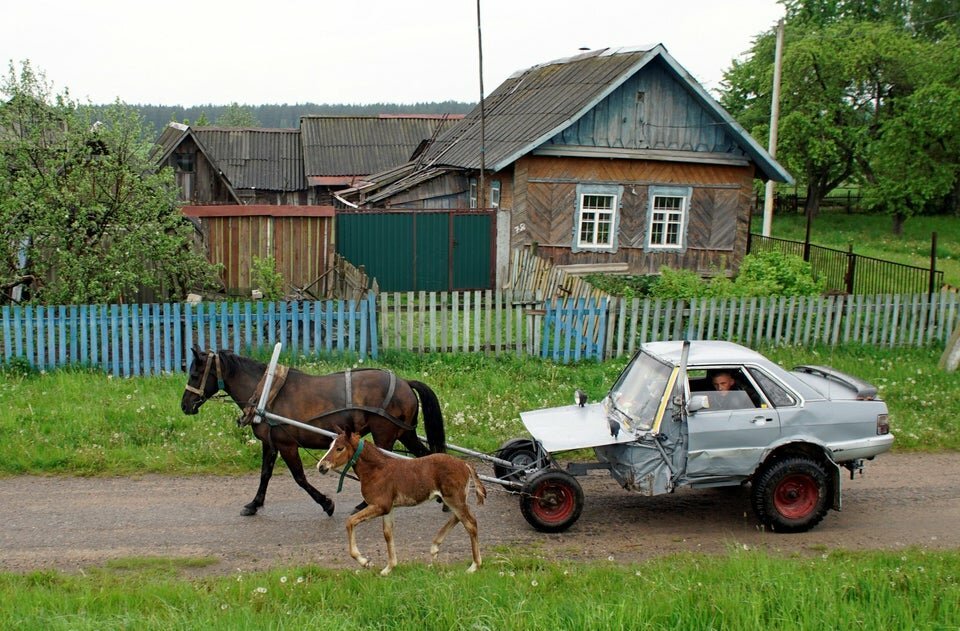 Приколы сельские фото