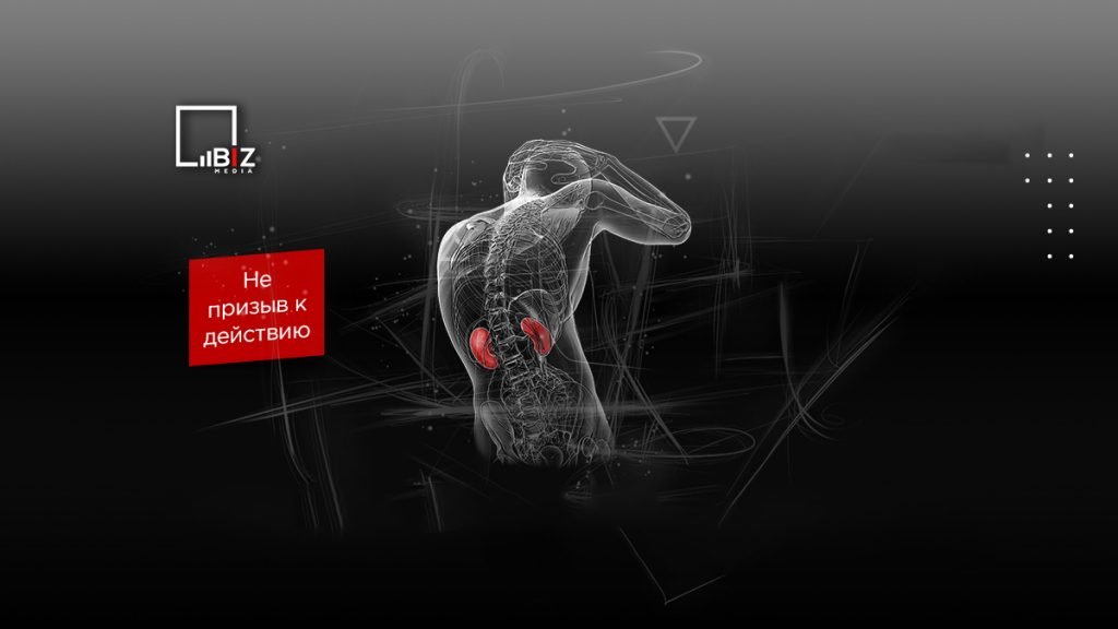 Сколько стоит почка человека — что будет, если ее продать? | BIZmedia ...