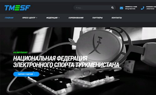 Федерация электронного спорта