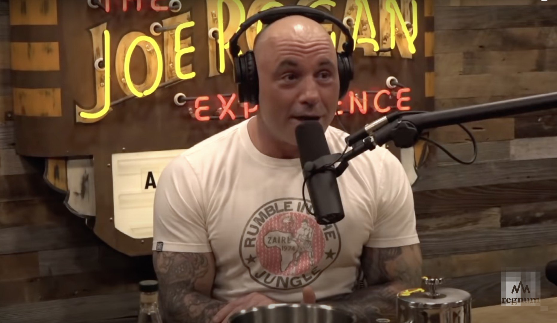 Joe rogan podcast hamster