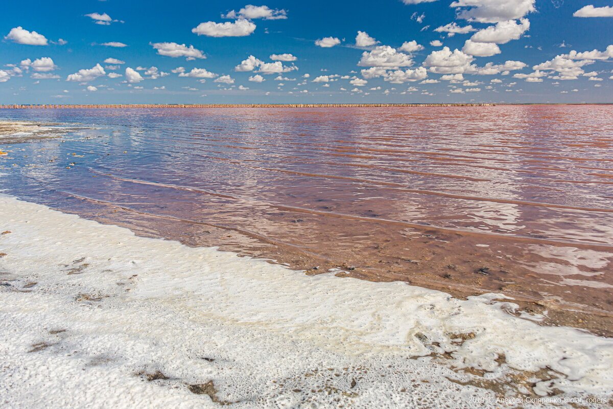 Озеро саки фото розовое