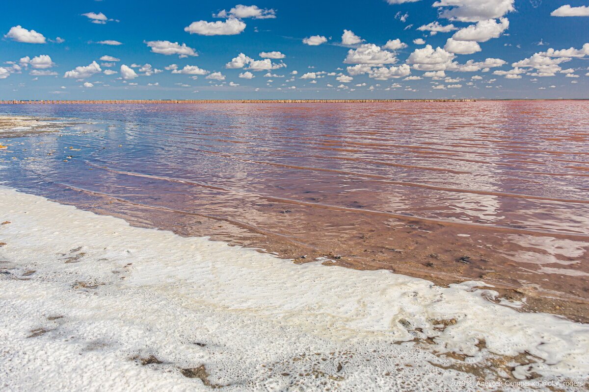 Озеро саки фото розовое фото