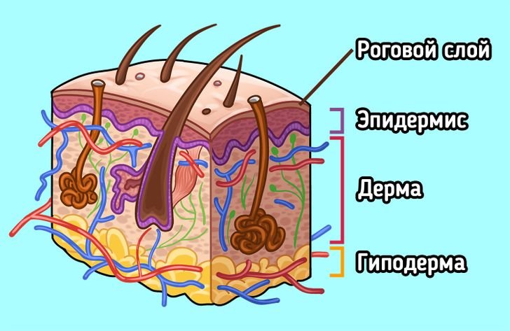 Почему морщатся обои