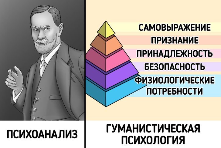 История развития