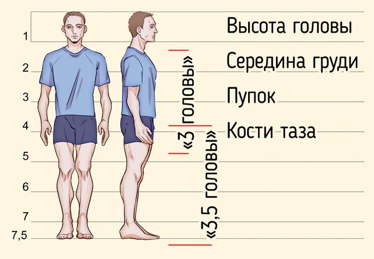 Пропорции фото для вк