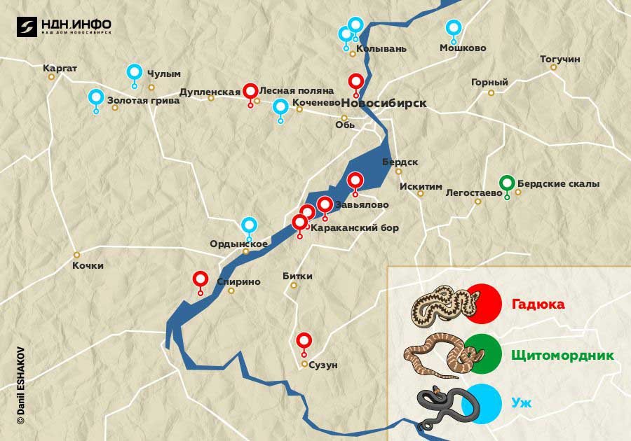 Карта распространения гадюк в подмосковье
