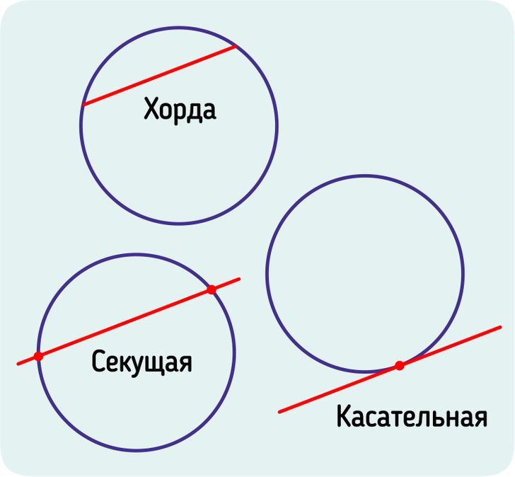 Почему круг назвали кругом. Части окружности. Какие бывают окружности. Общая часть окружности и круга. Части круга названия.