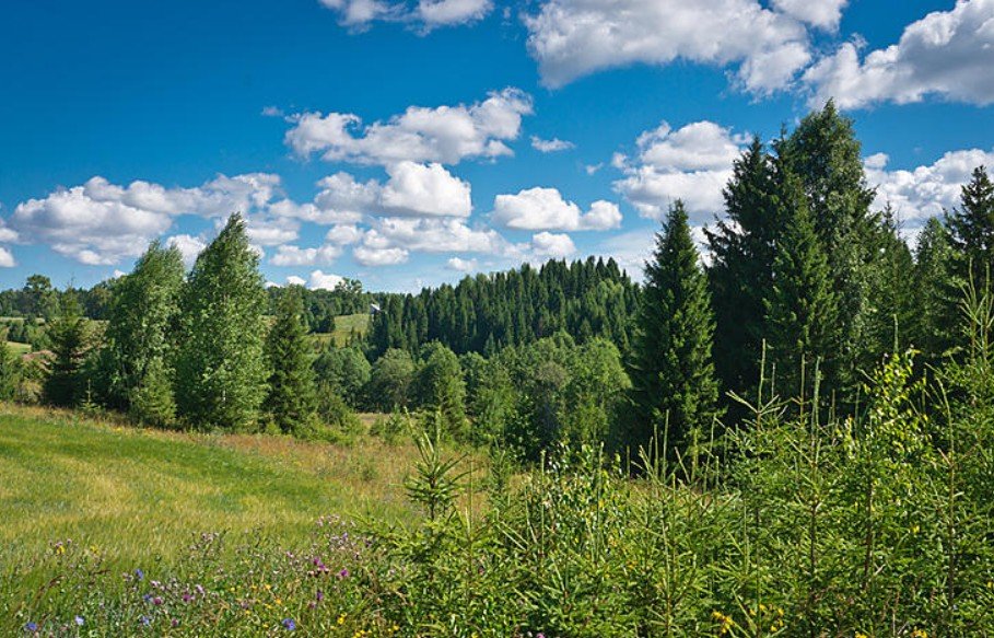 Кировская область фото природы