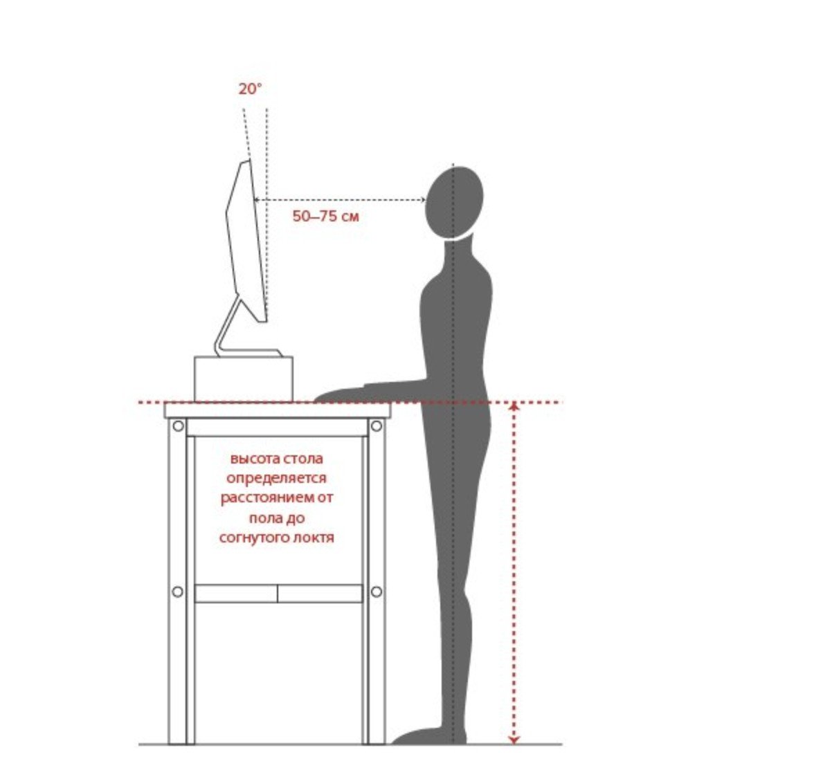 Правильная высота стола. Эргономика рабочего места стоя. Высота стола эргономика. Высота стола для работы стоя за компьютером. Высота рабочего места для работы стоя.