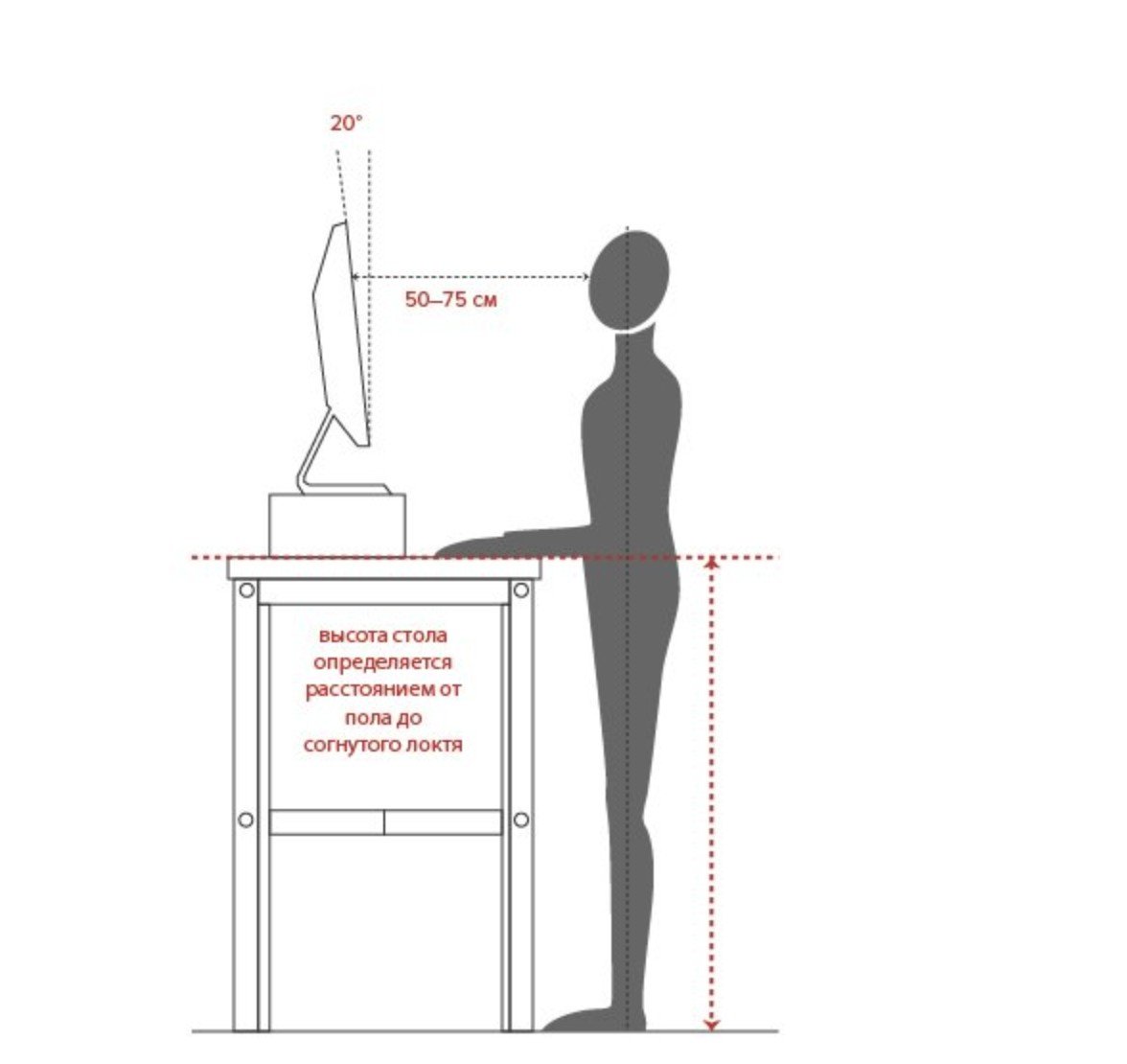Эргономика рабочая высота стола для работы стоя