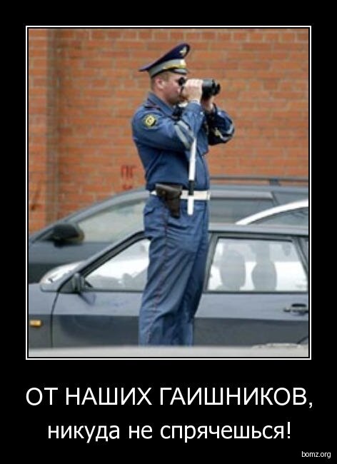Гаи картинки смешные