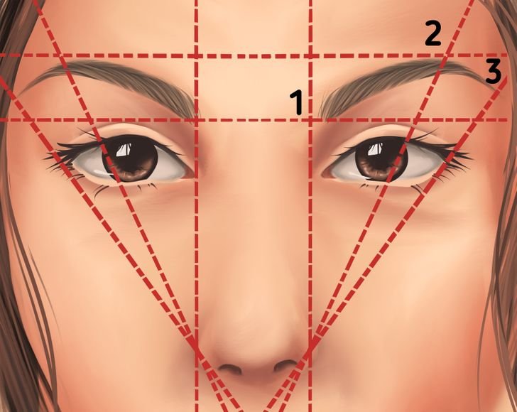 Брови как правильно нарисовать форму бровей