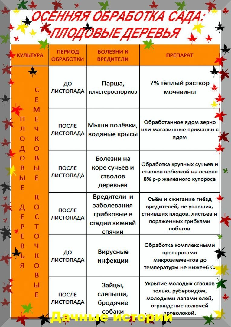 Схема обработки сада с весны до осени