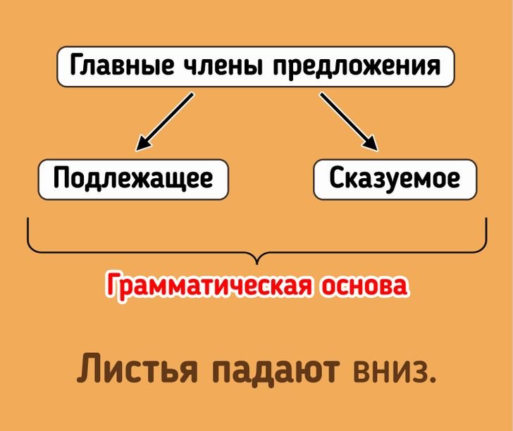 Основа предложения 2. Какие главные члены предложения. Подлежащее и сказуемое. Алиса что такое грамматическая основа.