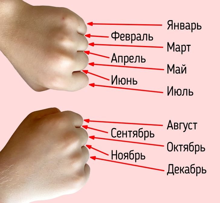 как определить сколько дней в месяце. количество дней в месяцах. сколько дней в месяце по костяшкам. число дней в месяце по костяшкам. сколько дней в каждом месяце.