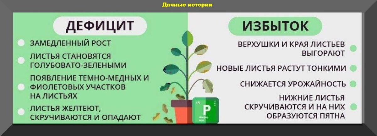 Переизбыток микроэлементов