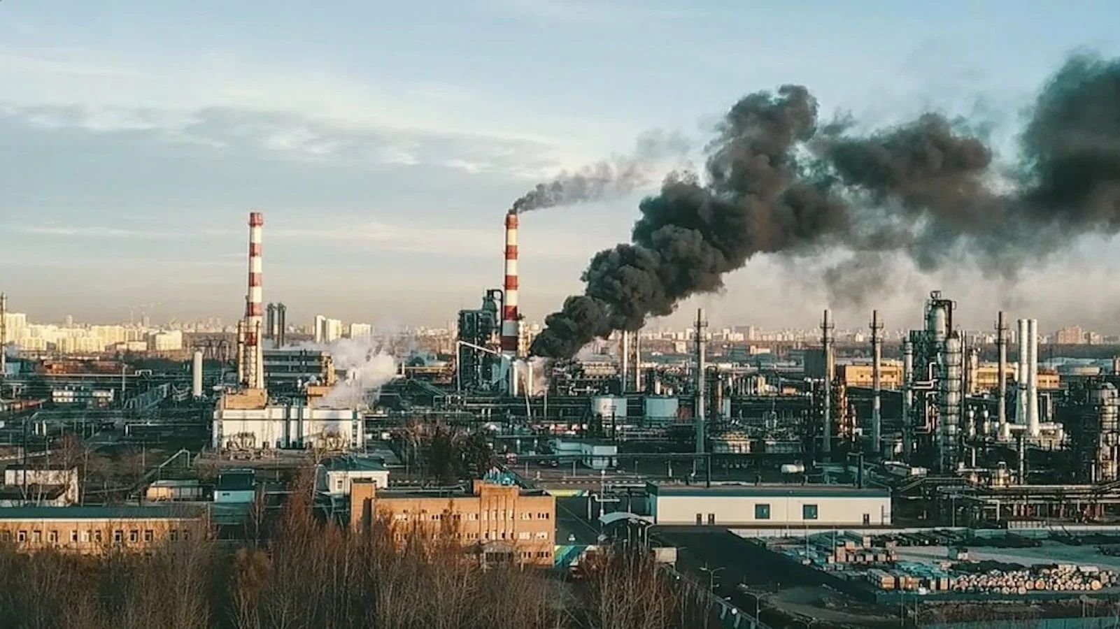 Экология в москве