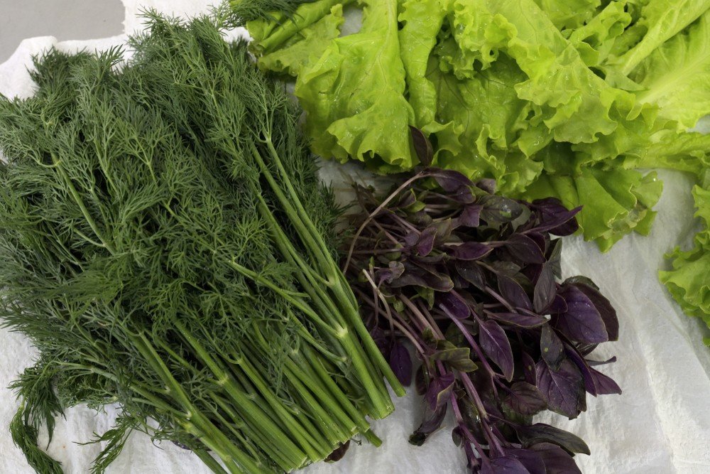 Рукола растение. Холодильник с продуктами. Хранение помидоров. Свежее мясо свинина. Можно свежую.