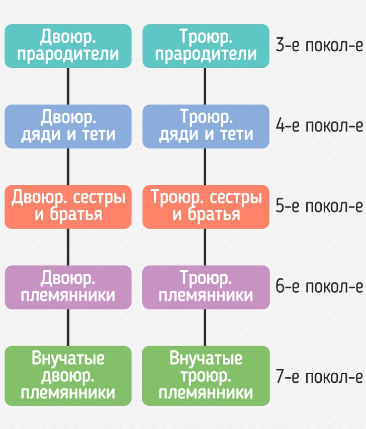 Троюродный брат это кто по родственному схема