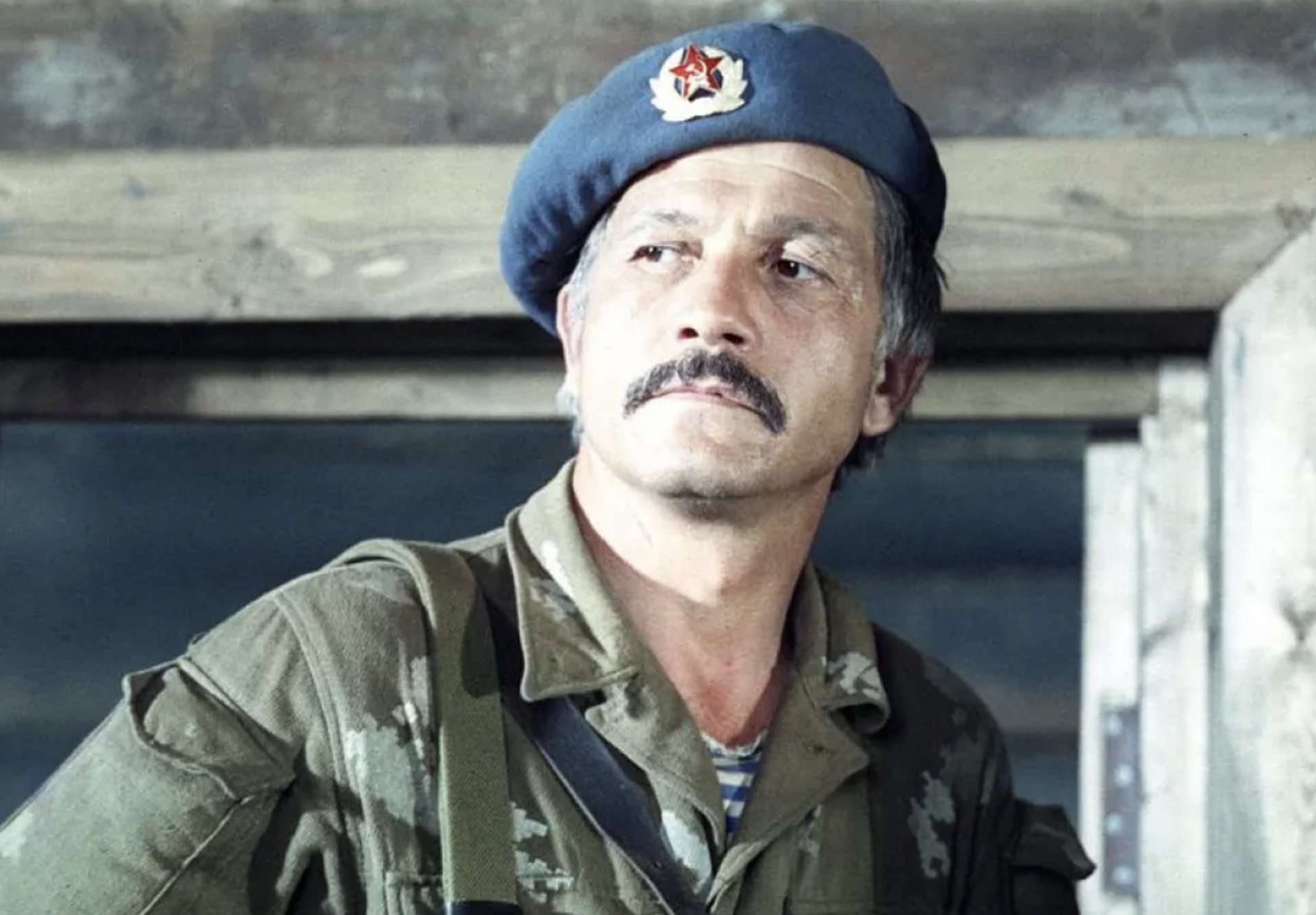 Волонтир михай википедия