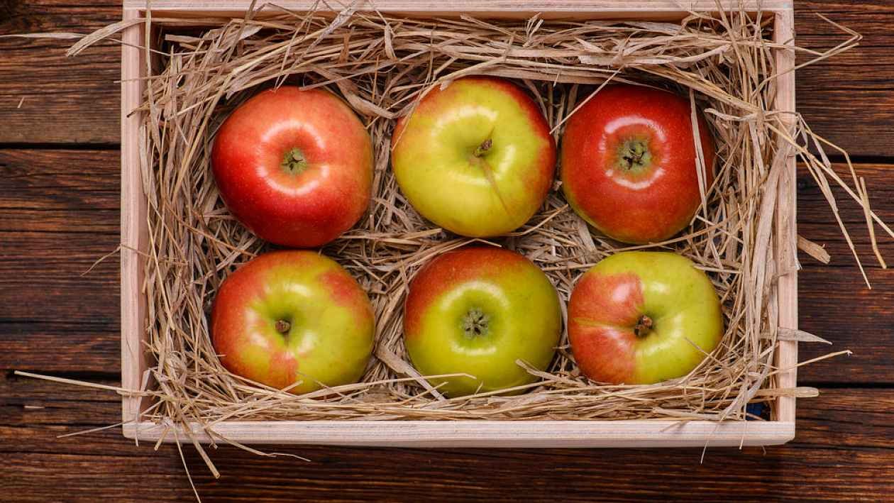 Яблоки в погребе