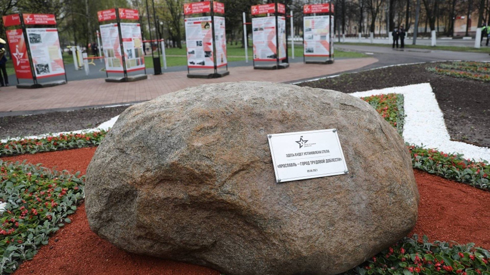 стелла в ярославле