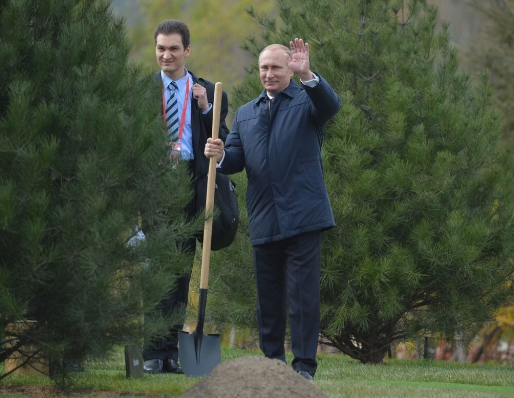 Путин сажает дерево
