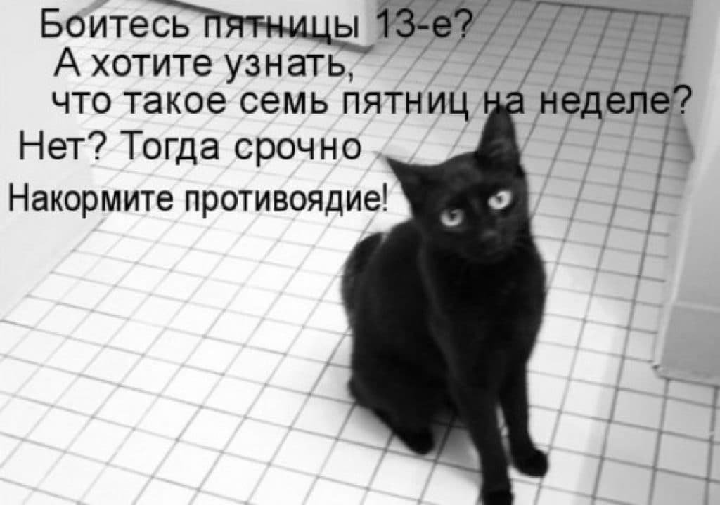 Не черного кота надо бояться а людей с черной душой картинки