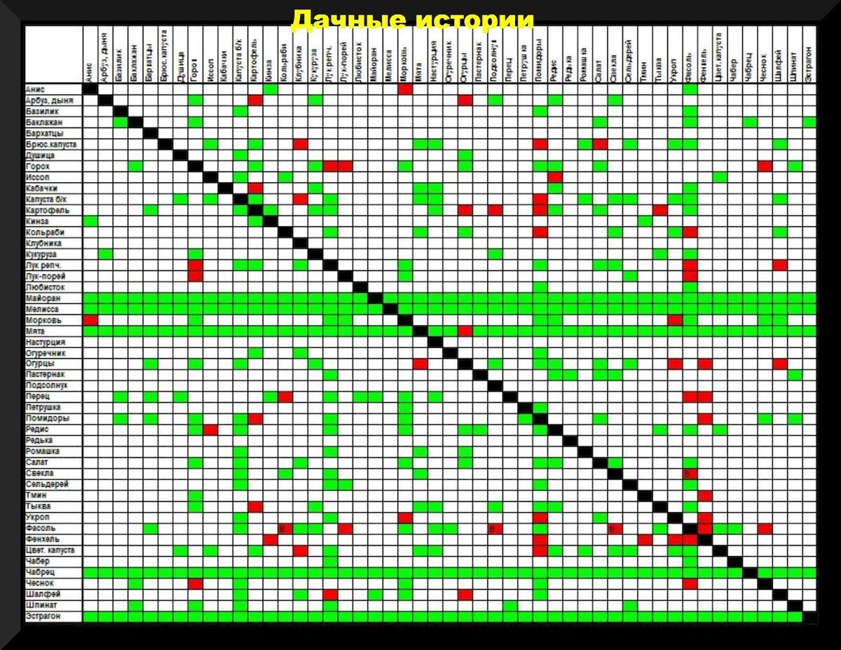 Таблица совместимости растений на огороде соседство овощей