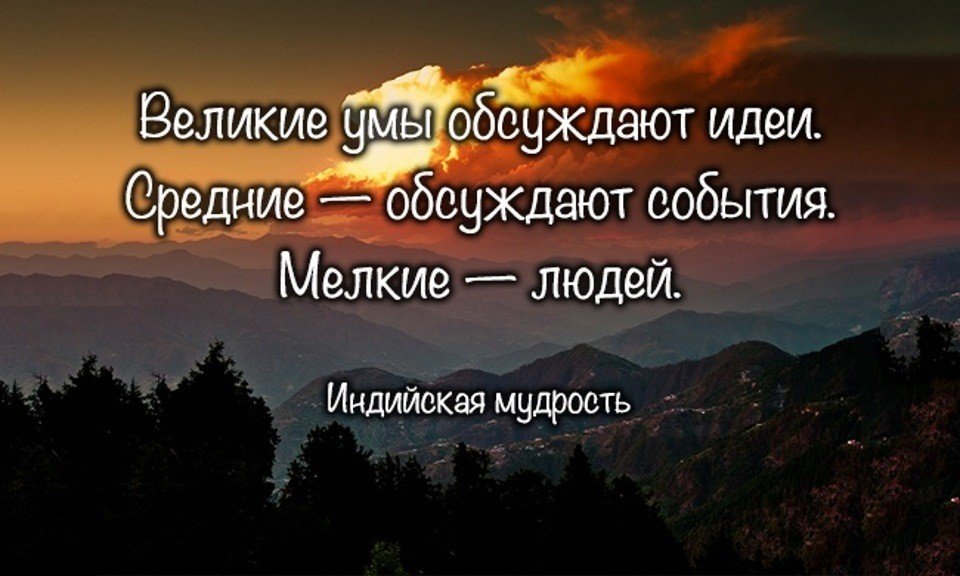 Многие умы. Мудрость. Мудрость цитаты. Мудрость жизни. Высказывания о мудрости.