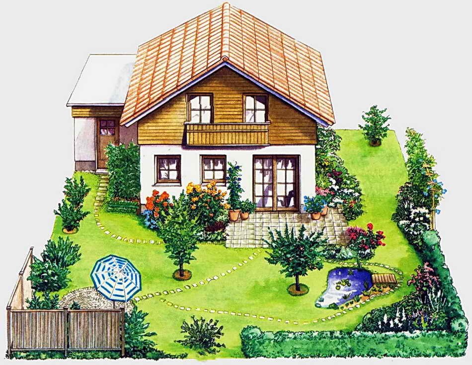 Сад дача рисунок