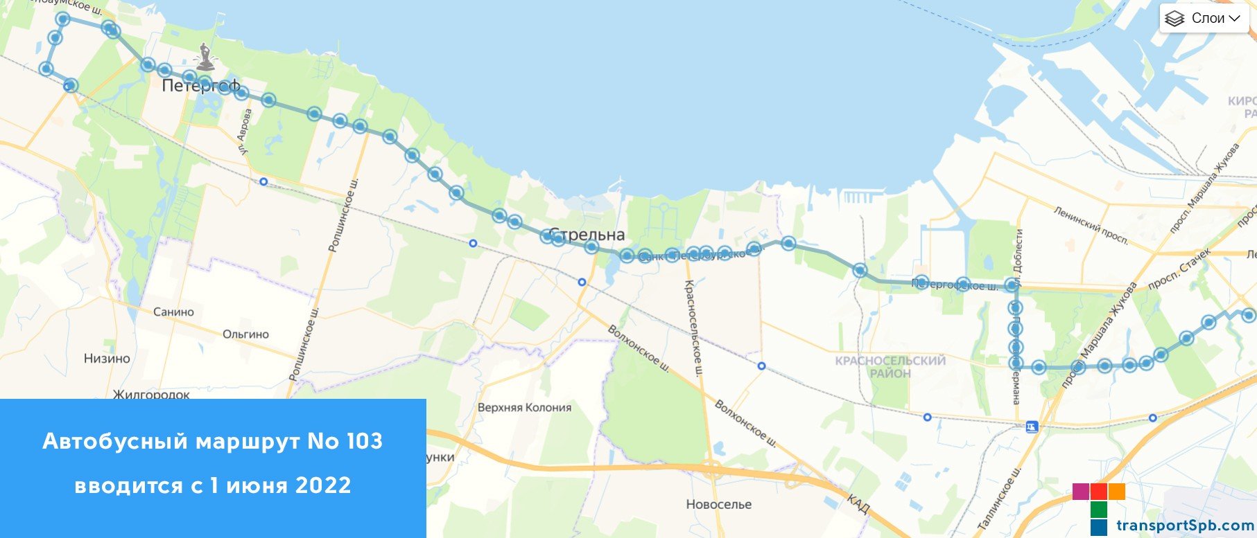 Маршрут 103. Схема Петергофа автобусные остановки. Проспект ветеранов автобусы. 145 Автобус от метро пр ветеранов. Маршрут 145б Санкт Петербург.