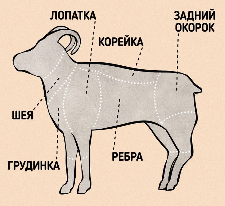 Корейка это какая часть свинины схема