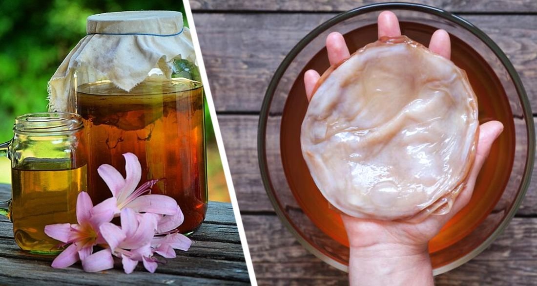 Картинки с чайным грибом