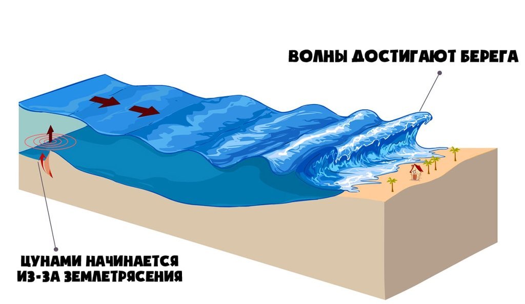 Схема образования цунами