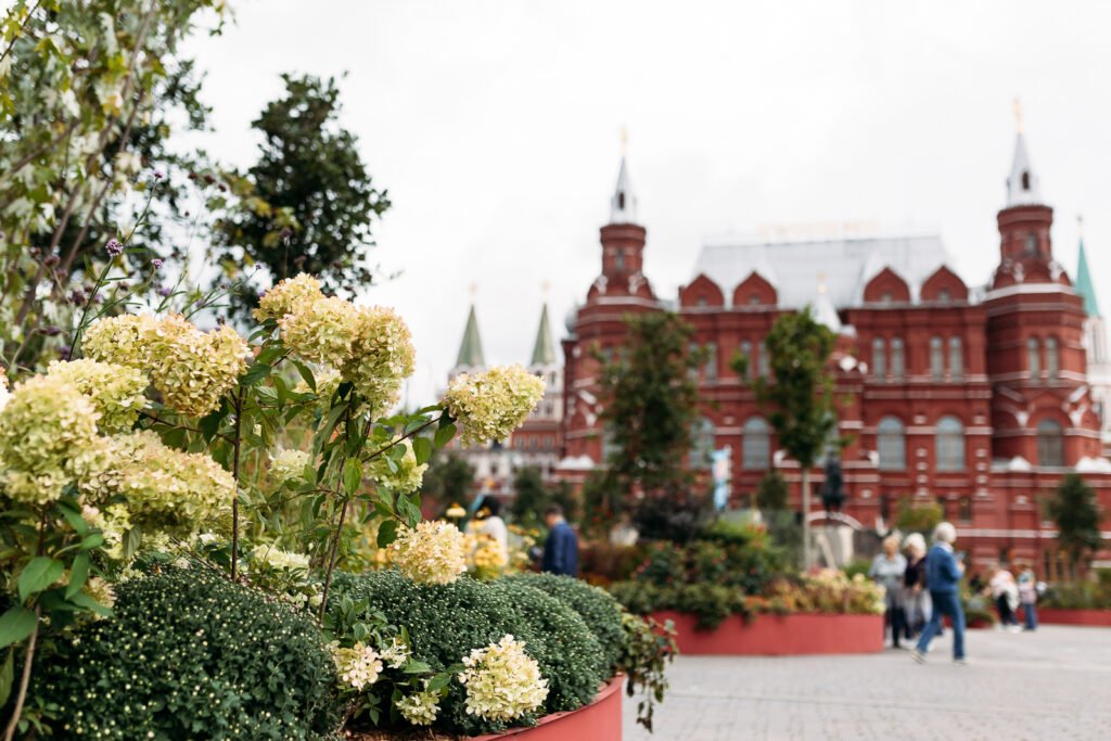 Курсы ландшафтной архитектуры в москве