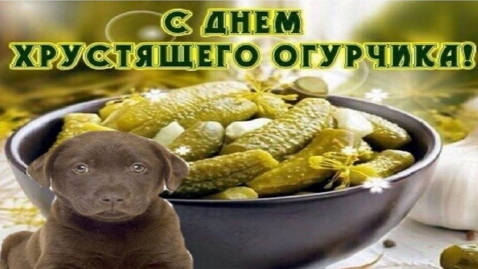 С днем огурца картинки