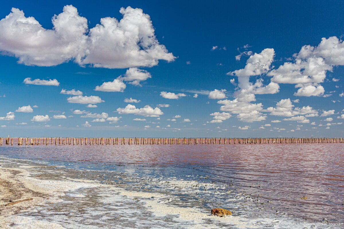 Розовое озеро саки. Сасык-Сиваш. Сасык-Сиваш в Крыму. Озеро Сиваш. Сасык Сиваш озеро.